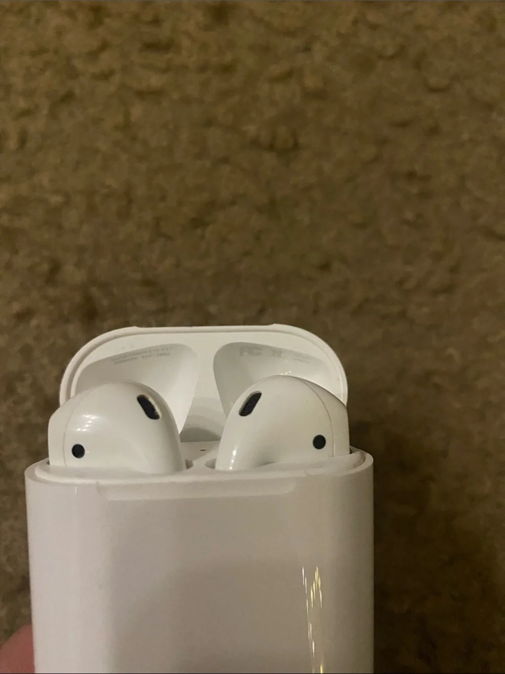 Apple White Earbud Charging Case